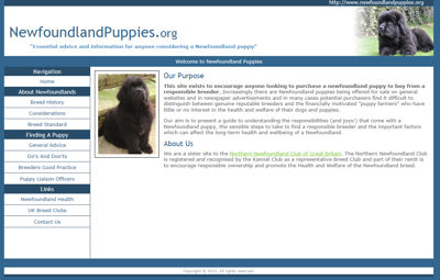Newfoundland Puppies web site screen