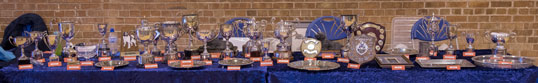 Trophy table