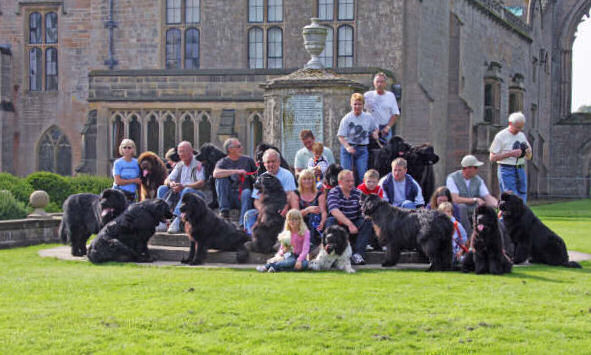 Newfies at Newstead Abbey