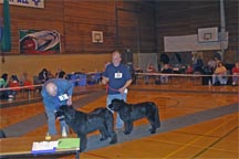 Picture of Dogs waiting to receive awards NNC Open Show 2005