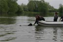Picture of Handler and black newfoundland dog the dog has reached the handler in the boat