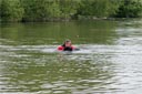 picture of black newfoundland dog collecting stranger/handler and returning towards shore
