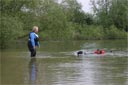 picture of black newfoundland dog towing handler/stranger to shore where the owner waits