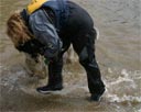 picture of owner of landseer dog collecting retrieved object from him