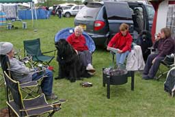 picture of group of people sat around fire on camp site with 2 newfoundland dogs