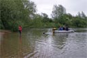 picture of brown newfoundland dog towing boat to handler on shore