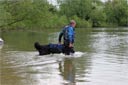 picture of black newfoundland with owner commencing exercise to retrieve stranger