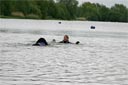 picture of black newfoundland dog approaching stranger