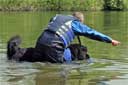 picture of owner with black newfoundland dog stood in water, the owner is directing the dog to swim out to boat the dog is carrying a rope