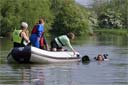 picture of brown newfoundland dog bringing person back to boat