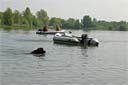 picture of brown newfoundland dog swimming out to boat