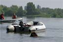 picture of brown newfoundland dog swimming round boat in search of person