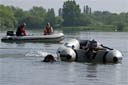 picture of brown newfoundland dog swimming towards hidden stranger