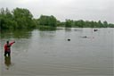 picture of owner stoof on shore, black newfoundland dog is approaching swimmer the dog is holding a life jacket in its mouth
