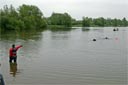 oicture of black newfoundland dog approaching water steward, the owner stands on the shore pointing