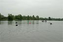 picture of dog swimming out to two stewards in the water