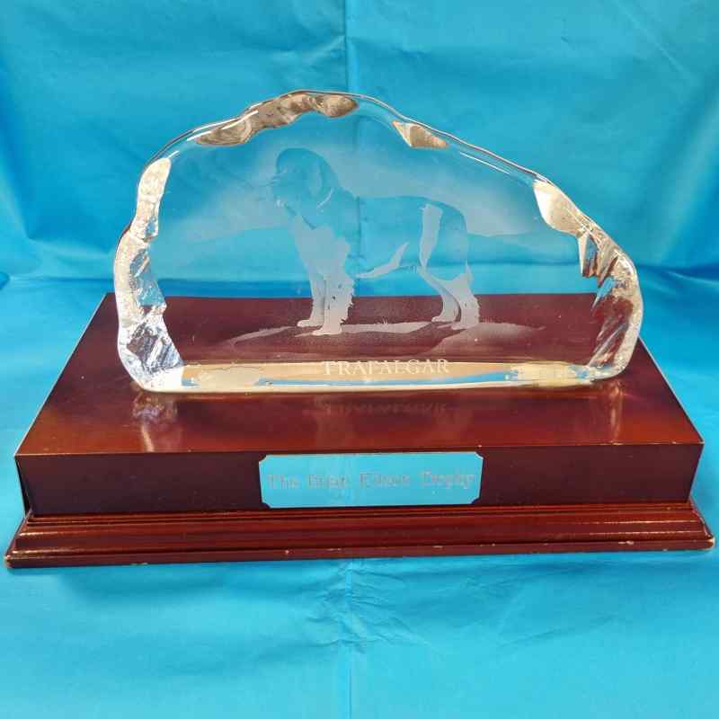 Brian Kitson Trophy