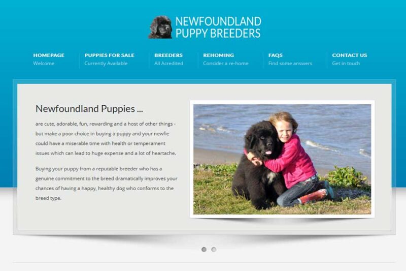 Newfoundland Puppy Breeders screenshot