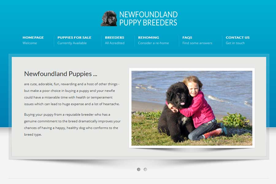 Newfoundland Puppy Breeders website screenshot