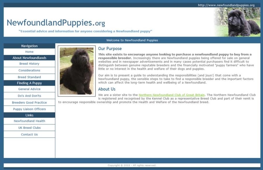 Screenshot of the NewfoundlandPuppies.org website homepage