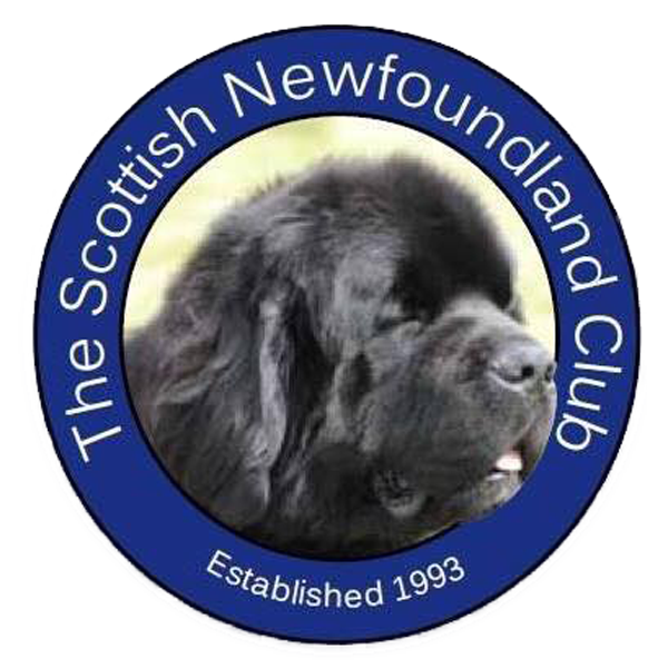 Newfoundland Puppy Breeders website screenshot