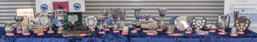 Open Show trophies