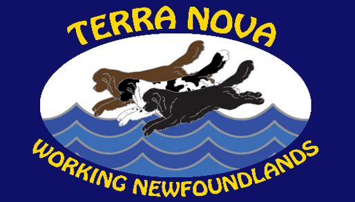 Terra Nova Working Newfoundlands logo