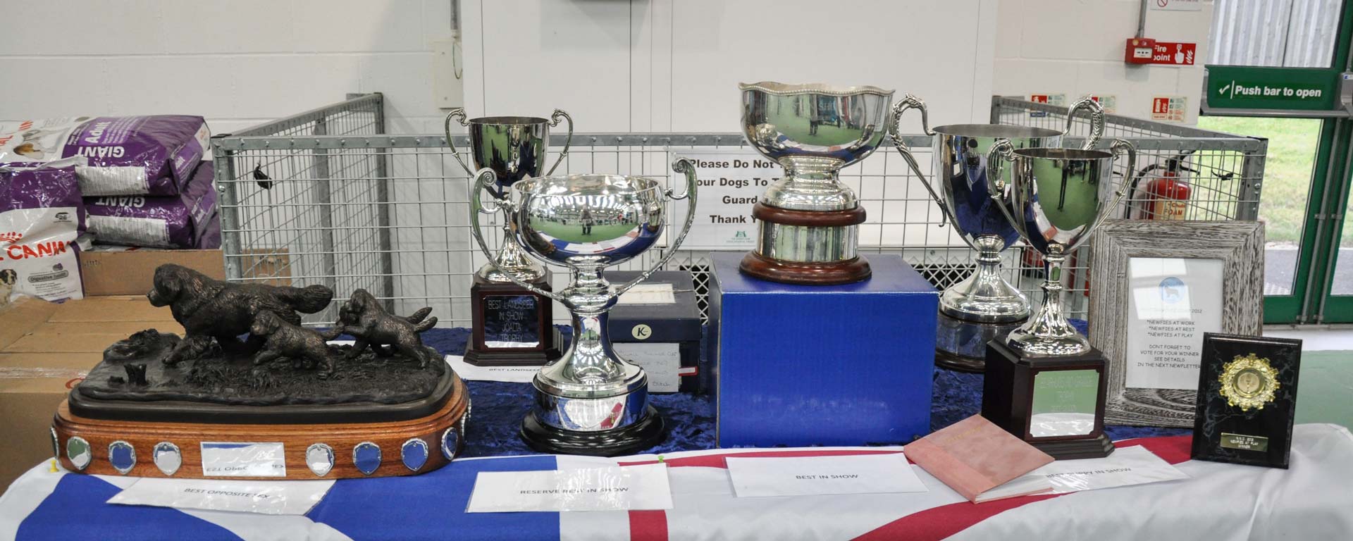 Championship Show Trophies