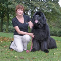 Ch. Darkpeak Mystified Ch. Darkpeak Mystified